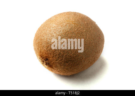 Nahaufnahme von einem einzigen Kiwi oder Chinesische Stachelbeere, es ist das essbare Beeren mehrerer Arten von Woody Reben in der Gattung Actinidia. Stockfoto