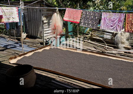 Schwarze Pfefferkörner und Wäsche trocknen in der Sonne bei Iban Stammes- Dorf, Mengkak Langhaus, Batang Ai, Sarawak (Borneo), Malaysia Stockfoto