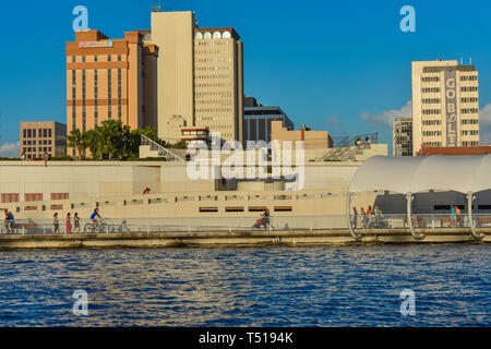 Tampa Bay, Florida. März 02, 2019. Menschen wandern und Radfahren am Riverwalk in Downtown. Stockfoto