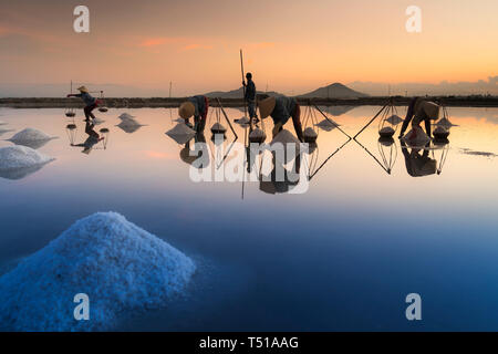 Die Frauen arbeiten auf dem Salz Feld in der Morgendämmerung. Salz Feld Hon Khoi in Nha Trang, Vietnam. Stockfoto