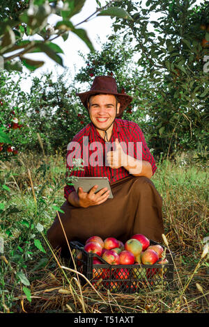 Junge glücklicher Mann im Garten sammeln reife Äpfel. Der Besitzer des Apple Orchard ist der Ernte freuen, schaut auf Tablet und zeigt in Ordnung. Stockfoto