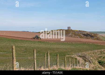 Ein Landwirt Eggen ein Feld im Nordosten von Schottland mit der Stonehaven War Memorial im Hintergrund Stockfoto