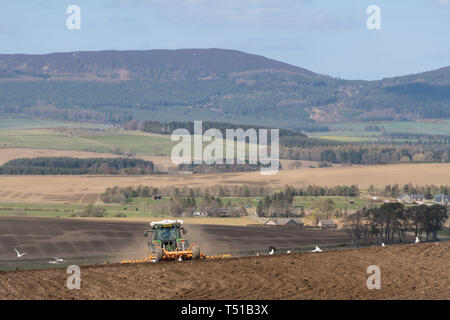 Die Eggen ein Feld in ländlichen Gemeinden mit Blick auf Cairn William in der Ferne Stockfoto