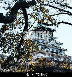 Burg von Osaka mit Bäumen und Kirschblüten in Japan umgeben Stockfoto