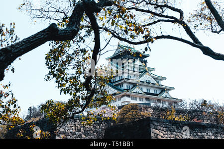 Burg von Osaka mit Bäumen und Kirschblüten in Japan umgeben Stockfoto