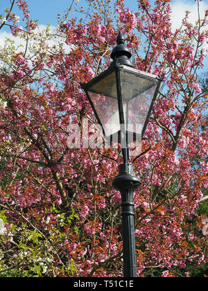 Anzeigen, die an einem alten Straße Licht auf dem Gelände von Christi Kapelle in Dulwich Village London Stockfoto