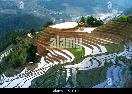 Die schöne Landschaft der Terrassen in der Bewässerung Saison in Me Cang Chai, Yen Bai Provinz, Vietnam Stockfoto