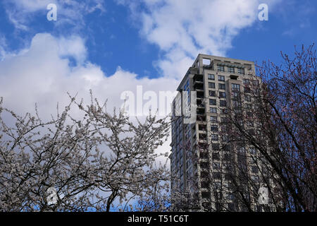 Hochhaus und blasen Baum Blatt gegen den blauen bewölkten Himmel Stockfoto