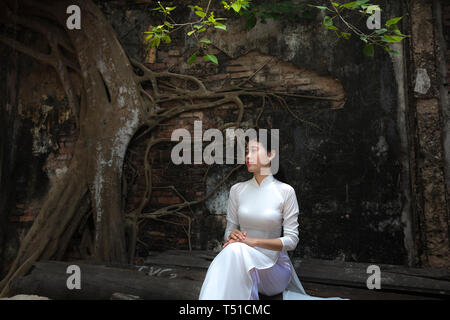 Eine antike Tempel namens Go Tan Tao Dong, Go Cong, Provinz Tien Giang, im Jahre 1907 erbaut. Die antiken Tempel mit Banyan Tree ist das Symbol der ländlichen Stockfoto