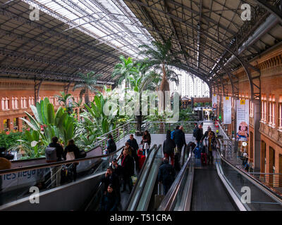 Jardín Tropical de la Estación de Atocha. Madrid. España Stockfoto