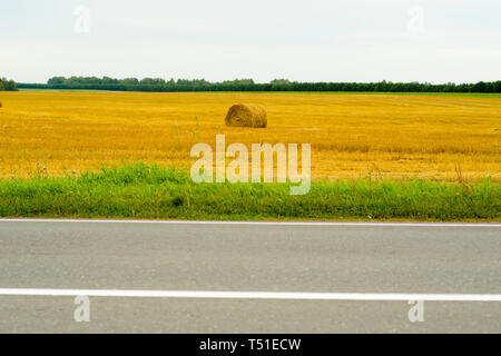 Heuernte, die Ernte auf den Feldern in der Nähe der Straße Stockfoto