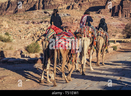 Kamele in Petra historische Stadt der nabatäischen Reiches in Jordanien Stockfoto