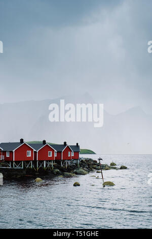 Das rote Fachwerkhaus Rorbu's/Fischer Hütten und ein Kormoran in Hamnoy Fischerdorf und Landschaft auf Moskenesøya, Lofoten Nordland in Norwegen. Stockfoto