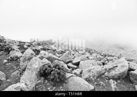 Oben auf dem Pico de La Zarza, der höchste Berg in Fuerteventura. Es ist sehr oft in Wolken sogar am Morgen eingepackt. Stockfoto