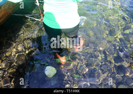 Reisende sind zu Fuß von der schönen felsigen Strand, Koh hin Ngam, Tarutao Marine National Park in Songkhla Provinz, Thailand Stockfoto