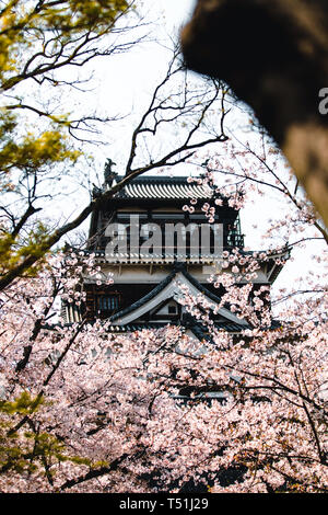 Hiroshima Castle fallenden Kirschblüten und Blumen Stockfoto