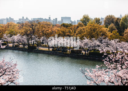 Hiroshima Castle fallenden Kirschblüten und Blumen Stockfoto