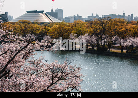 Hiroshima Castle fallenden Kirschblüten und Blumen Stockfoto