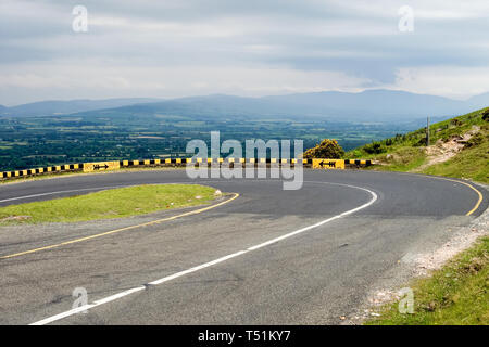 Rhododendron in der Vee Tal an der Grenze Tipperary Waterford in Irland wächst. Stockfoto