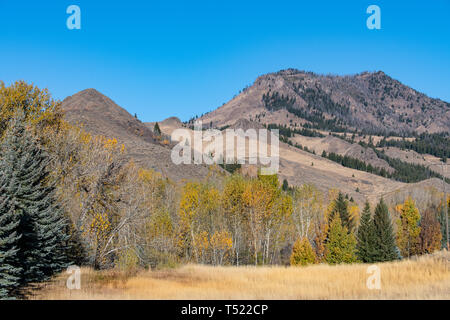 Idaho Landschaft, wo einige der Hinterkante der Schafe Festival auftreten Stockfoto