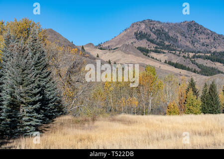 Idaho Landschaft, wo einige der Hinterkante der Schafe Festival auftreten Stockfoto