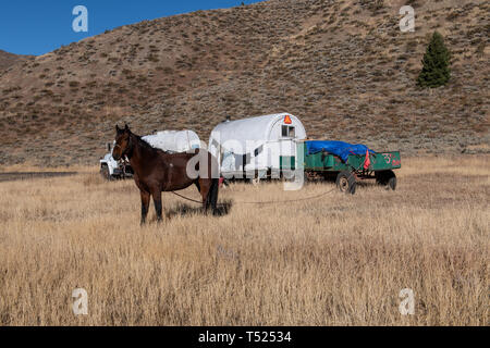 Schafhirte Wagen im hohen Land von Idaho Stockfoto