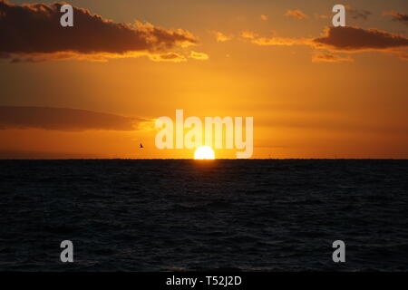 Sonnenuntergang am Strand von Brighton Stockfoto