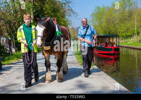 Pferd canal Boat Trip in Llangollen Wharf, Wales, UK. Pferd ziehen ein lastkahn voller Leute mit einem schmalen Bootsfahrt auf einem sonnigen Tag. Stockfoto