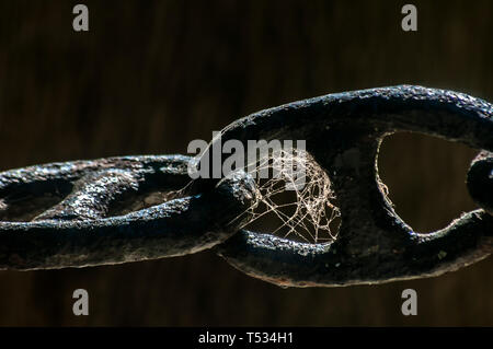 Dicken Eisen schwarz Kette links Zaun closeup mit Spinnennetz Stockfoto