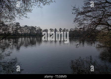 South Lake - Woodley in der Berkshire Stockfoto