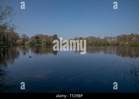 South Lake - Woodley in der Berkshire Stockfoto