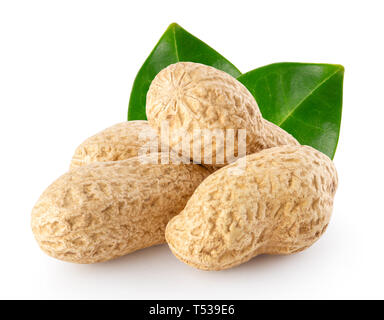 Peanut Hülsen mit grünen Blättern auf weißem Hintergrund Stockfoto
