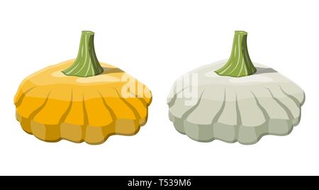 Orange und Grün Busch Kürbis Gemüse. Patisson Kürbis auf weißem Hintergrund. Herbst Ernte. Vector Illustration im flachen Stil Stock Vektor