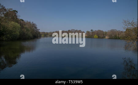 South Lake - Woodley in der Berkshire Stockfoto