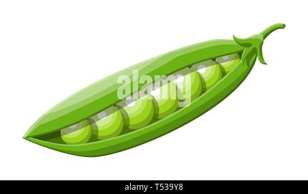 Grüne Erbsen auf weißem Hintergrund. Erbsen in Hülsen Gemüse. Organische gesundes Essen. Vegetarische Ernährung. Vector Illustration im flachen Stil Stock Vektor