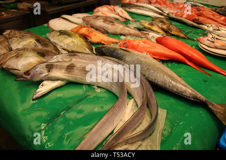 Frischen Fisch auf omicho Ichiba Markt, überdachter Lebensmittelmarkt in Kanazawa, Japan. Stockfoto