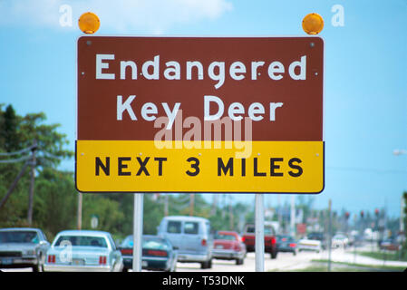 Florida Keys Big Pine Key Endangered Key Deer Schild, US Overseas Highway Route 1 Warnhinweis, Stockfoto
