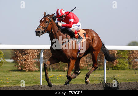 El Gumryah unter Andrea Atzeni führte das Heimfeld an, um den Rennen der Racing TV-Filmstutfohlen „Conditions Stakes“ auf der Rennbahn Kempton Park zu gewinnen. Stockfoto