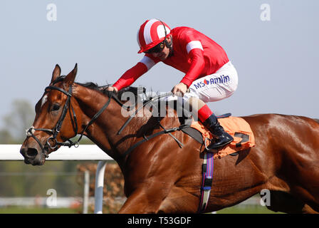 El Gumryah unter Andrea Atzeni führte das Heimfeld an, um den Rennen der Racing TV-Filmstutfohlen „Conditions Stakes“ auf der Rennbahn Kempton Park zu gewinnen. Stockfoto