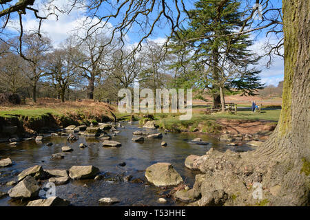 Schöne Aussicht auf den Fluss Lin im Frühjahr, Leicestershire, Großbritannien Stockfoto