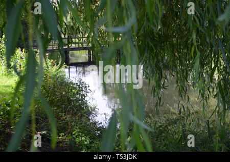 Hohe Bildqualität der Brücke von der Natur umgeben. 3696 Pixel 2448 Pixel. Stockfoto