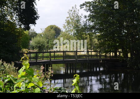 Hohe Bildqualität der Brücke von der Natur umgeben. 3696 Pixel 2448 Pixel. Stockfoto