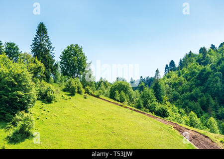 Pfad bergauf in die Berge. Sommer Landschaft Landschaft. Gras Wiese und Wald am Hang Stockfoto