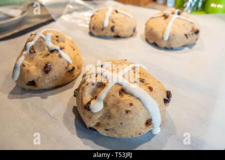 Hausgemachte Hot Cross Buns auf ein Backblech. Stockfoto