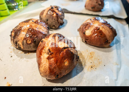 Hausgemachte Hot Cross Buns auf ein Backblech. Stockfoto