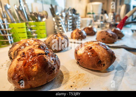 Hausgemachte Hot Cross Buns auf ein Backblech. Stockfoto