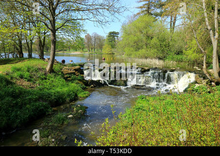Ein kleiner Wasserfall, der aus einem See in Kent Stockfoto