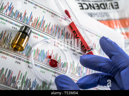 Polizei Experte untersucht Blut Musterdiskette Petri auf der Suche nach DNA Test, konzeptionelle Bild Stockfoto