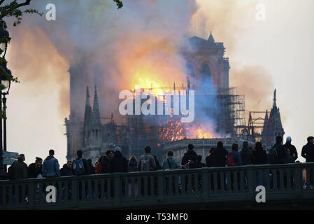 *** Frankreich / STRENG KEINE VERKÄUFE IN DEN FRANZÖSISCHEN MEDIEN *** April 15, 2019 - Paris, Frankreich: Pariser auf einer Brücke zusehen, wie ein großes Feuer brennt in der Kathedrale Notre Dame von Paris. Stockfoto