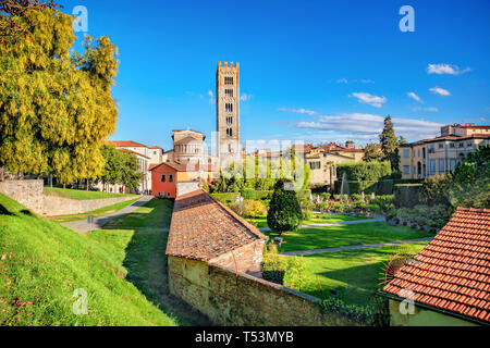 Stadtbild mit Basilika di San Frediano und Gärten des Palazzo Pfanner in der mittelalterlichen Stadt Lucca. Toskana, Italien Stockfoto